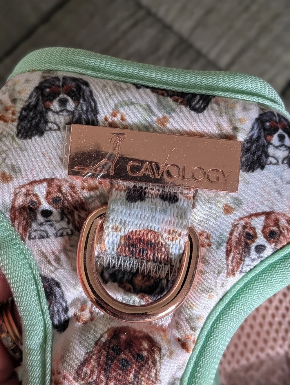 NWOT Cavology Step In Harness